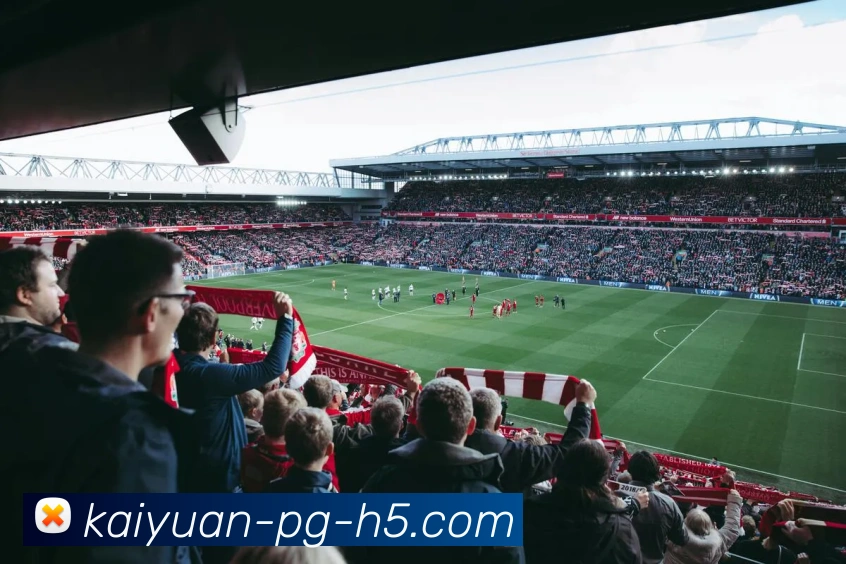 开元体育平台生态图